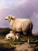 Sheep 142